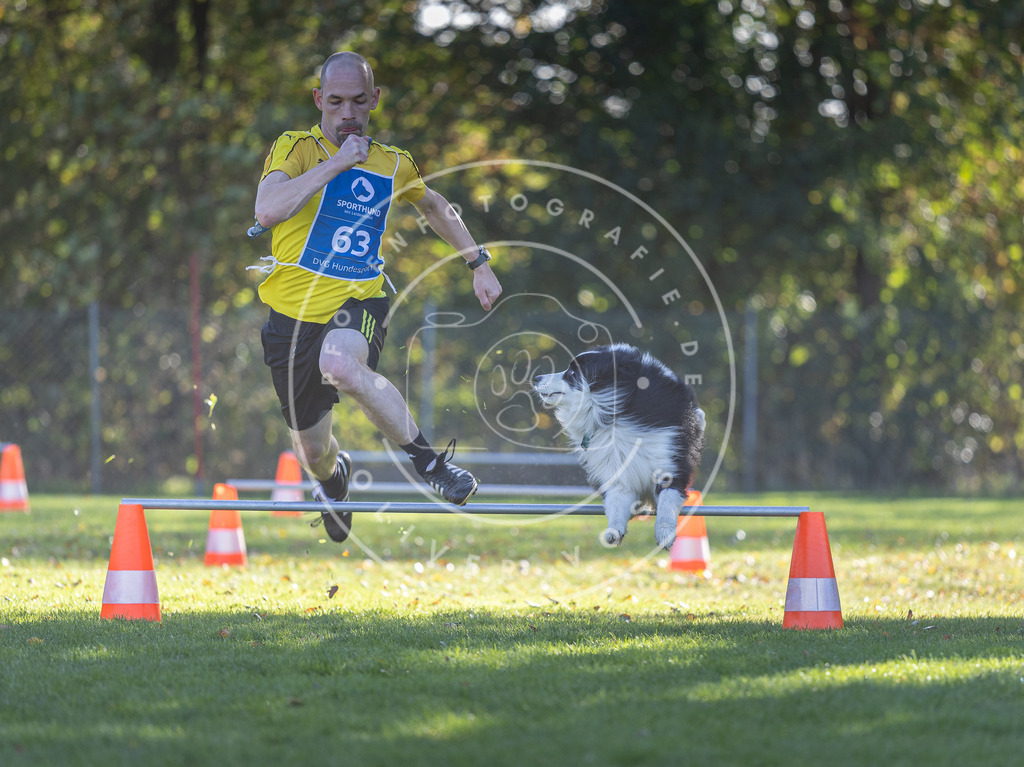 Pfotenfotografie.de_DV3A3189 | Hundefotografie, Tierfotograf, Pfotenfotografie, Fotoshooting Hund, Hunde Portrait, Hundesport, Hundeportraits, Heideshooting, Hunde, Sportfotograf, Hundefotograf, Turnierhundsport, THS, canicross - Realisiert mit Pictrs.com