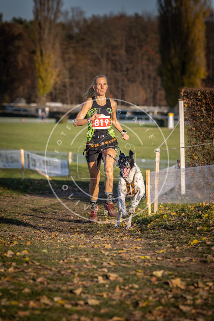 CaniXpix_DV3A3219 | Hundefotografie, Tierfotograf, Pfotenfotografie, Fotoshooting Hund, Hunde Portrait, Hundesport, Hundeportraits, Heideshooting, Hunde, Sportfotograf, Hundefotograf, Turnierhundsport, THS,  - Realisiert mit Pictrs.com