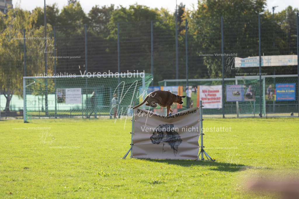 _16A4792 | Einzigartige Fotos von Hunden & Menschen –Actionfotos, Portraits, Vereinsaufnahmen & Paarshootings – authentisch, lebendig & mit Herz.