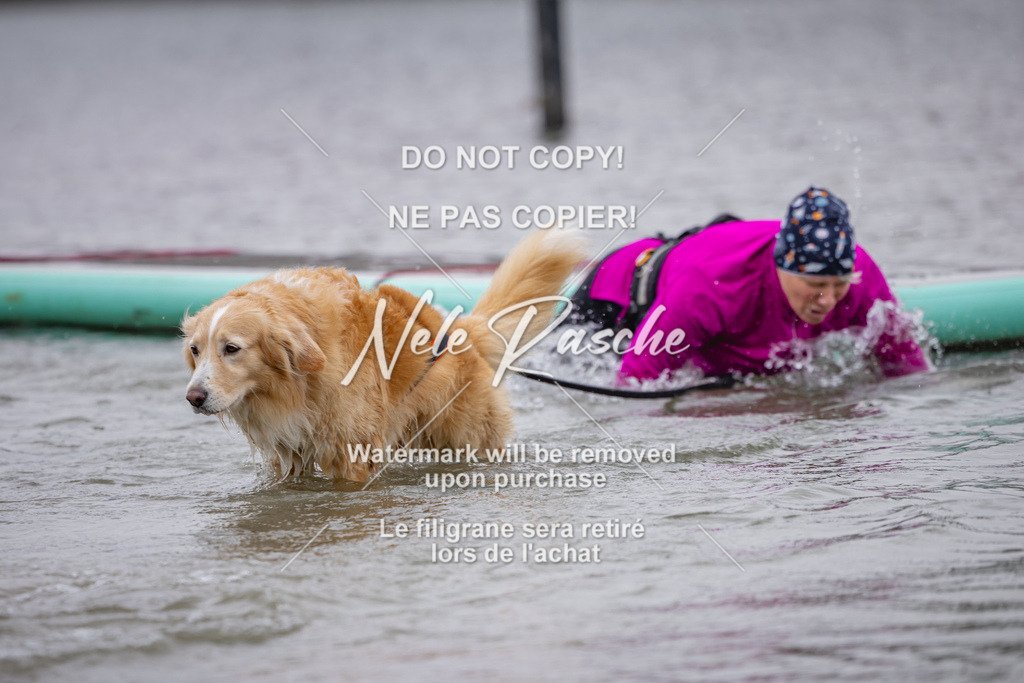 nelerasche_Hulsbeek_Sa1430-1515_389 | nelerasche