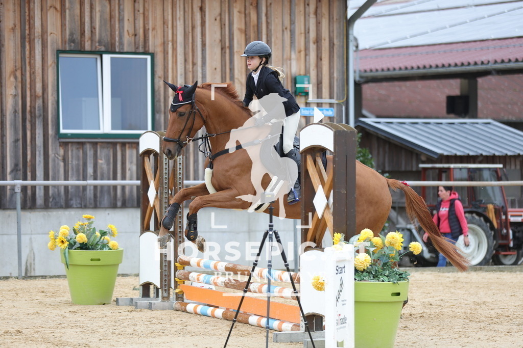 0P6A0873 | Willkommen bei Brunnmayr - Design & Fotografie – Ihrem Spezialisten für Reitturniere und Pferdeveranstaltungen in Oberösterreich, Salzburg und Bayern! Seit über 17 Jahren sind wir leidenschaftlich dabei.