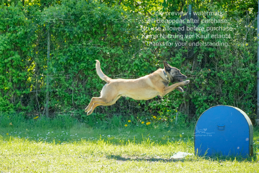 Sa_VK3_03-5 | stephaniefillaphotographie - Realisiert mit Pictrs.com