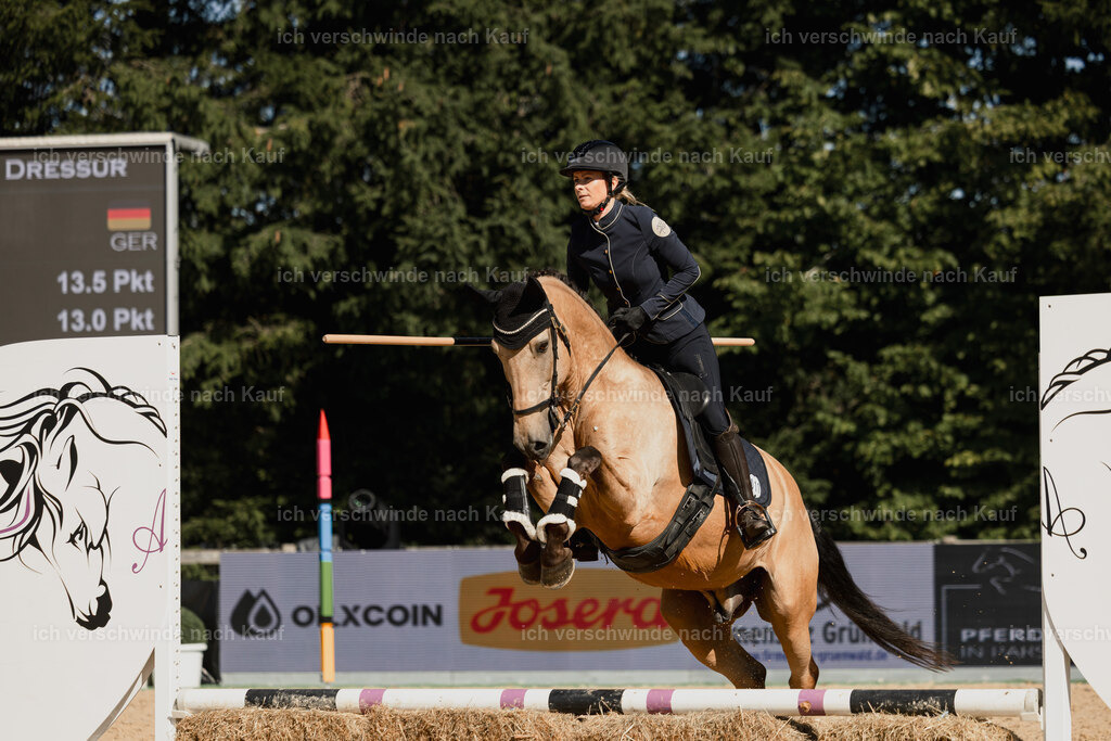 Diana11_FHC2025-27531 | working equitationturnier fotograf videograf stoibphotography marixx film working equitation deutschland reitsport turnierfotografie eventfotografie equestrian events