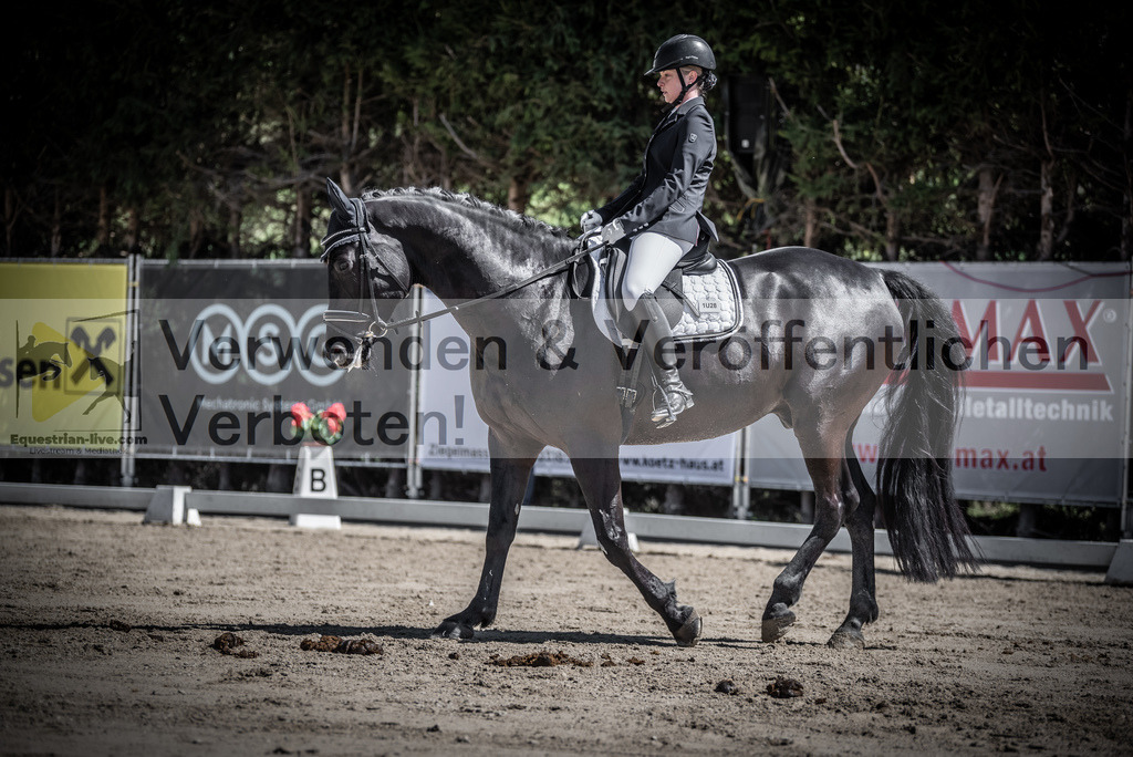 DSC_0252 | equestrian-live-com