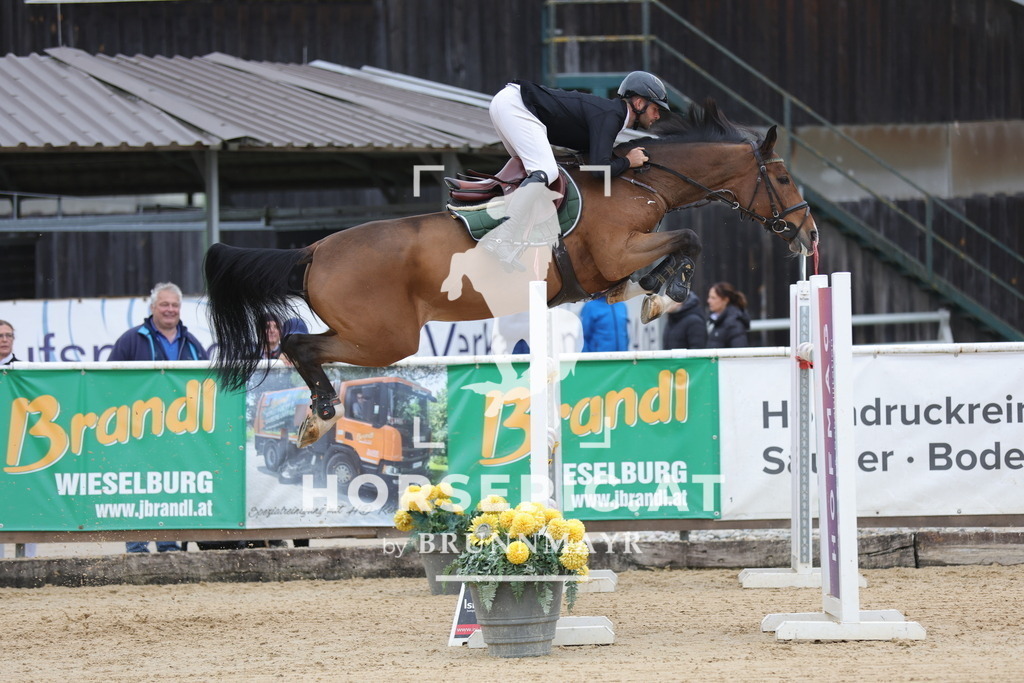 0P6A4066 | Willkommen bei Brunnmayr - Design & Fotografie – Ihrem Spezialisten für Reitturniere und Pferdeveranstaltungen in Oberösterreich, Salzburg und Bayern! Seit über 17 Jahren sind wir leidenschaftlich dabei.