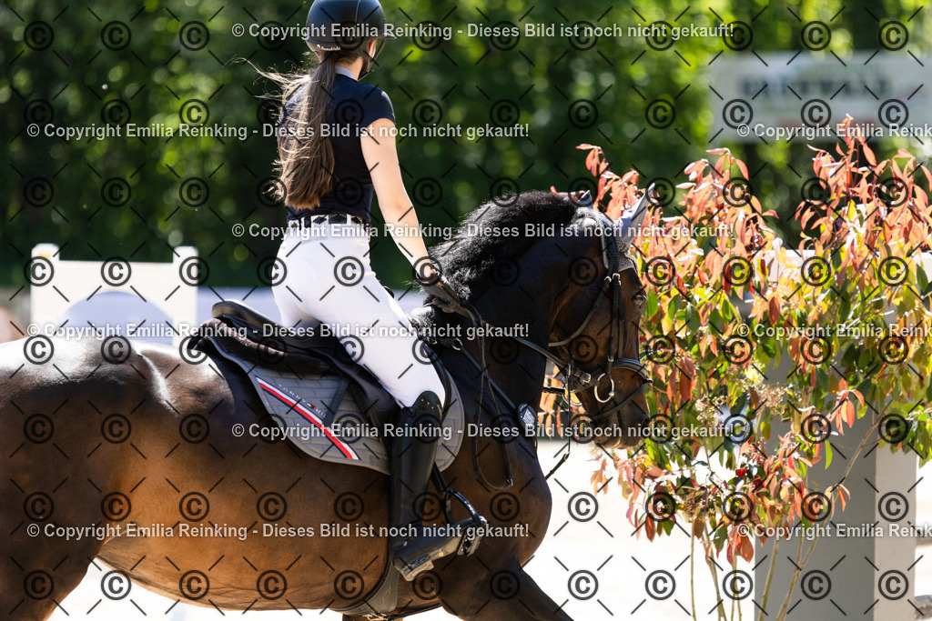 CL5A4615 | Emilia Reinking Fotografie - Realisiert mit Pictrs.com