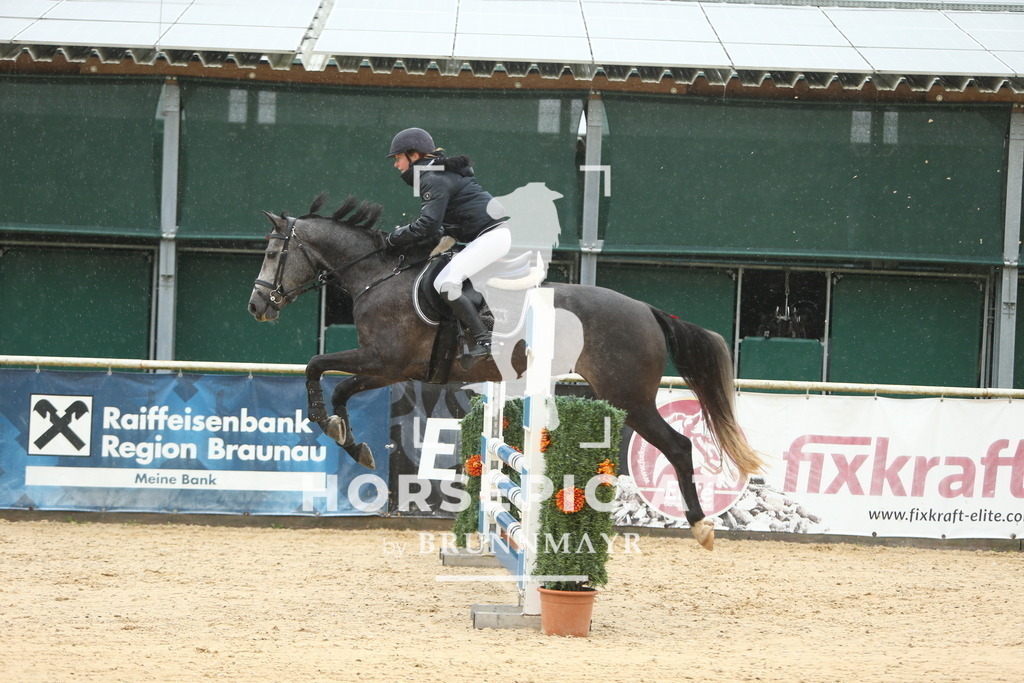 DL2Q0889 | Willkommen bei Brunnmayr - Design & Fotografie – Ihrem Spezialisten für Reitturniere und Pferdeveranstaltungen in Oberösterreich, Salzburg und Bayern! Seit über 17 Jahren sind wir leidenschaftlich dabei.