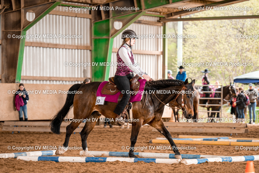 BA300503 | dv-media-shop - Realisiert mit Pictrs.com