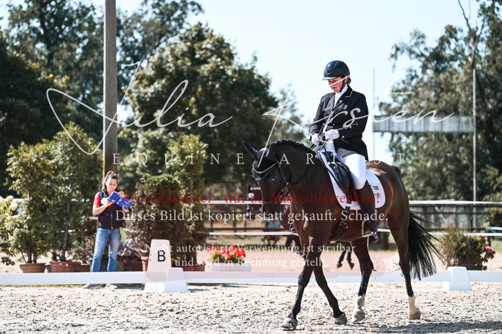 DSC_5026 | Pferde- und Turnierfotografie in Westsachsen. Pferdeportraits, Auftragszeichnungen und intuitive Kunst.