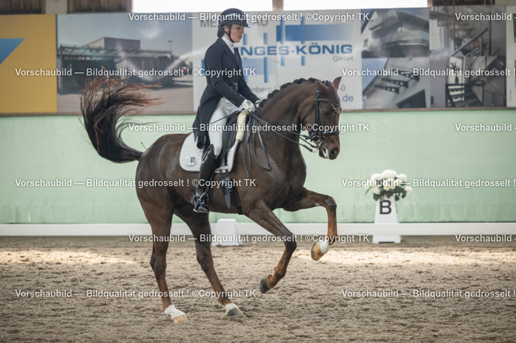 _D5A4935 | Emotionale Pferde- & People-Fotografie rund um Heidelberg, Leimen & Umgebung. Natürliche Fotos von Pferd, Mensch & Familie. Jetzt Termin sichern!