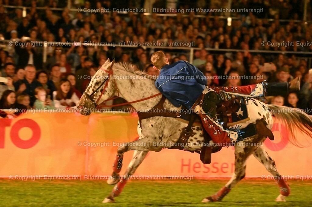 20230526_Pferdenacht_1192 | equistock