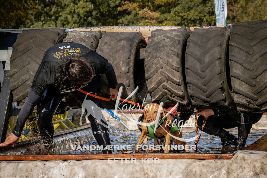 1400_ZZ93648 | kk-dogfotos