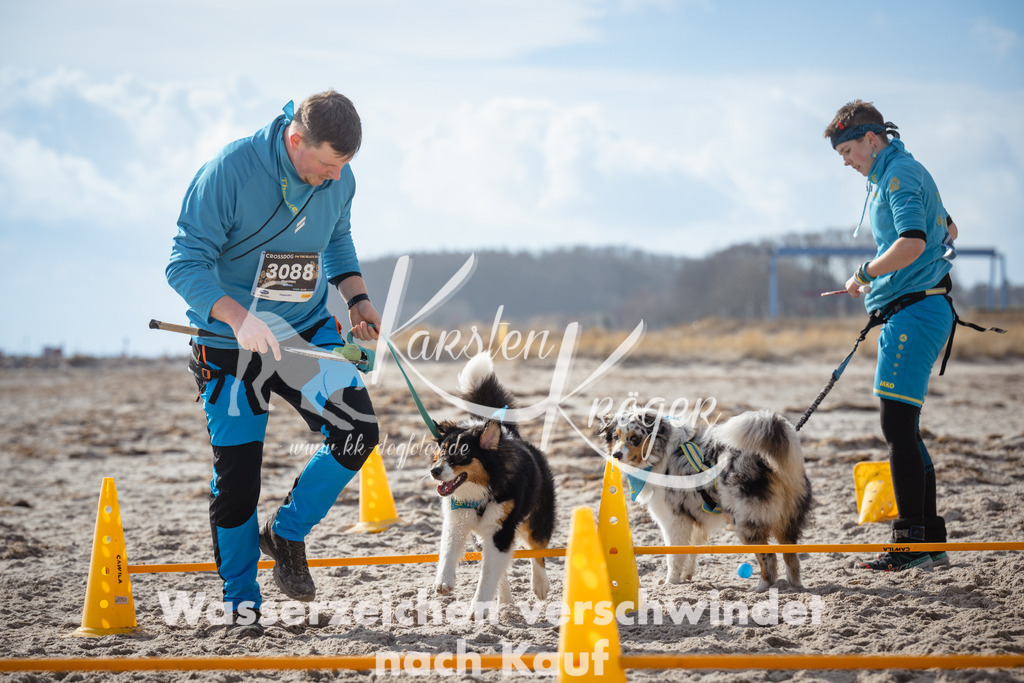 1242_ZZ98299 | kk-dogfotos