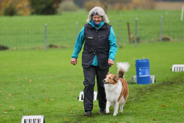 2025_Rally_Obedience_SM-103 | Ich fotografiere Hundeausstellungen, Sportanlässe, Zuchtstätten, Hundezucht, Hundeportrait, Lagotto - Realisiert mit Pictrs.com
