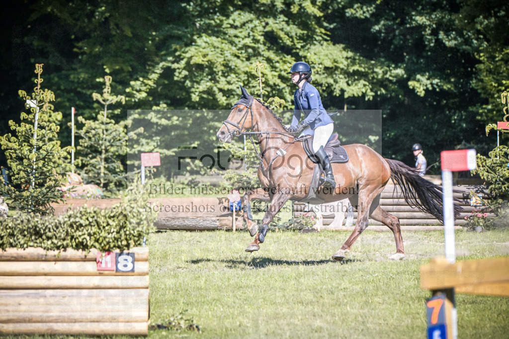 DOS_3389 | Entdecke hochwertige Reitturnierfotos von Foto Oger. Professionell, emotional und authentisch – jetzt Lieblingsmomente im Shop bestellen.Deutschlandweite Turnierfotografie. - Realisiert mit Pictrs.com