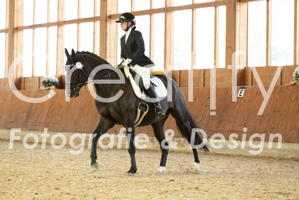 IMG_6073 | Creatify Fotografie