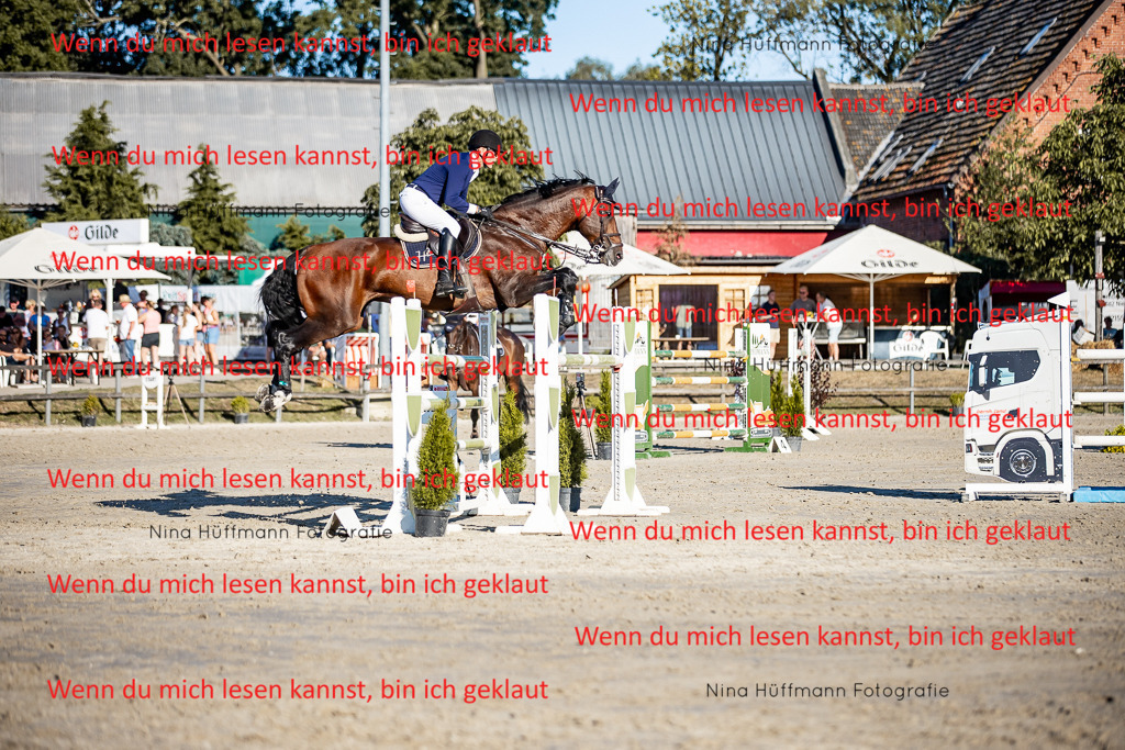 BK1A8360 | Turnierbilder Turnierfotos Nina Hüffmann Turnierfotografie Pferdefotografie Tierzeichnung Haustierzeichnung Pferdezeichnung Hundezeichnung Videograf  - Realisiert mit Pictrs.com