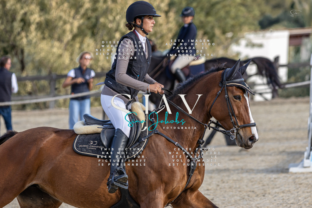 IMG_0440 | s-jay-photography - Realisiert mit Pictrs.com