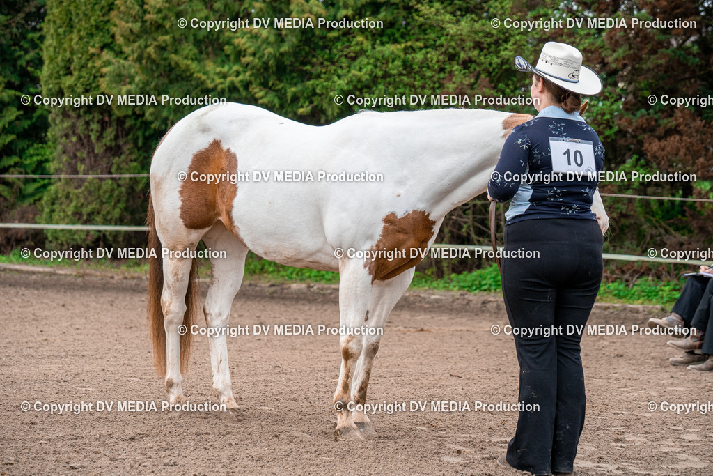 BA300013 | dv-media-shop - Realisiert mit Pictrs.com