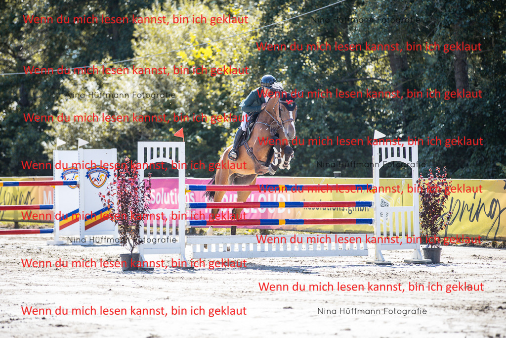 BK1A6254 | Turnierbilder Turnierfotos Nina Hüffmann Turnierfotografie Pferdefotografie Tierzeichnung Haustierzeichnung Pferdezeichnung Hundezeichnung Videograf  - Realisiert mit Pictrs.com