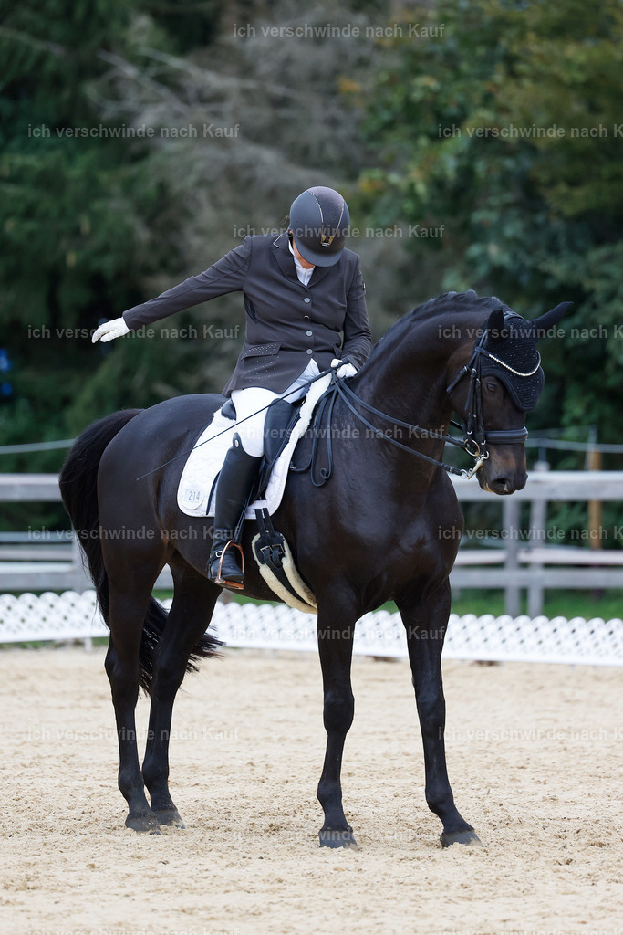 04_2-214-Dressur M__ -StoibPH-2950 | working equitationturnier fotograf videograf stoibphotography marixx film working equitation deutschland reitsport turnierfotografie eventfotografie equestrian events
