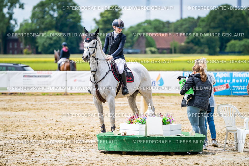 DSC04063 | Pferdegrafie