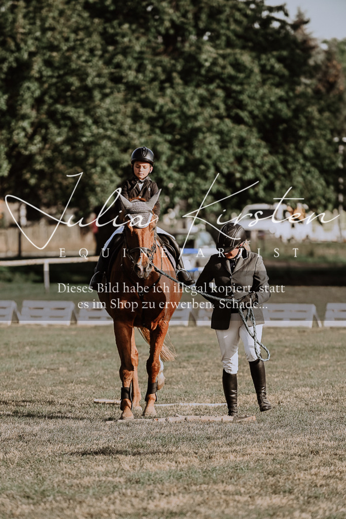 DSC_0089 | Pferde- und Turnierfotografie in Westsachsen. Pferdeportraits, Auftragszeichnungen und intuitive Kunst.