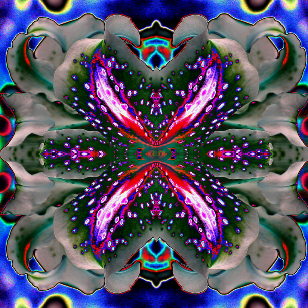 Love One | Moderne Digital Art – Exklusive Kunstwerke für dein Zuhause
Entdecke einzigartige Digital Art und verleihe deinen Räumen eine moderne und stilvolle Atmosphäre. Unsere hochwertigen Kunstdrucke kombinieren innovative Technik mit künstlerischer Kreativität und bringen abstrakte, geometrische und futuristische Designs direkt an deine Wand.
✔ Hochauflösende Drucke in brillanten Farben
✔ Exklusive Motive von talentierten Digital Artists
✔ Verschiedene Formate für jeden Raum und Stil
✔ Perfekt als Wandkunst für Wohnzimmer, Büro oder Galerie
Lass dich von unserer modernen, abstrakten und minimalistischen Kunst inspirieren und finde dein neues Lieblingsmotiv! Jetzt bestellen und dein Zuhause mit hochwertiger Digital Art verschönern.
 - Realisiert mit Pictrs.com