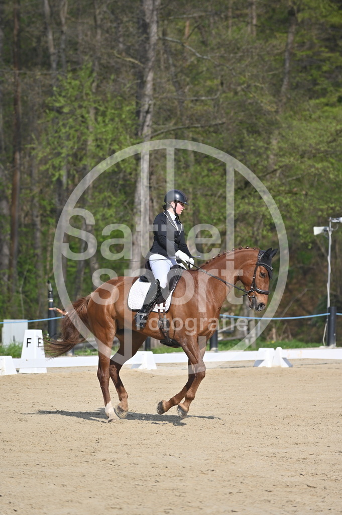 DSC_0453 | sattelsport - Realisiert mit Pictrs.com