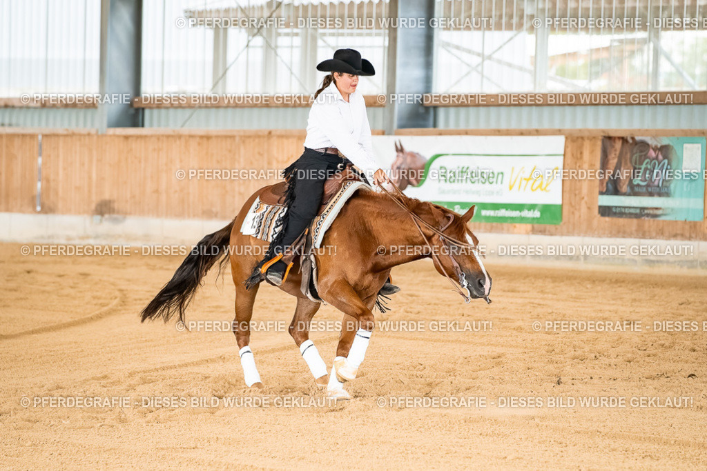 DSC02371 | Pferdegrafie