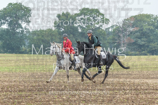 Jagd Perdoel_MarinaHewigMCH04176 | Fotografie, FotoArt, PferdesportArt, Pferdesportfotografie, Landschaftsfotografie, Reisefotografie, Reise, Pferde - Realisiert mit Pictrs.com