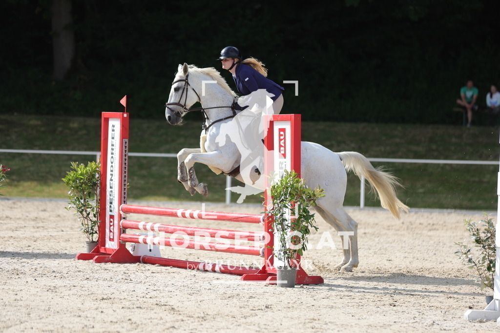 0P6A5925 | Willkommen bei Brunnmayr - Design & Fotografie – Ihrem Spezialisten für Reitturniere und Pferdeveranstaltungen in Oberösterreich, Salzburg und Bayern! Seit über 17 Jahren sind wir leidenschaftlich dabei.