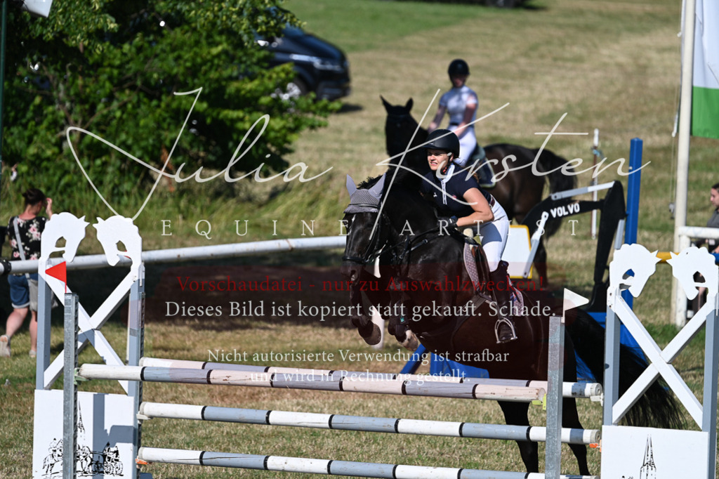 DSC_2482 | Pferde- und Turnierfotografie in Westsachsen. Pferdeportraits, Auftragszeichnungen und intuitive Kunst.