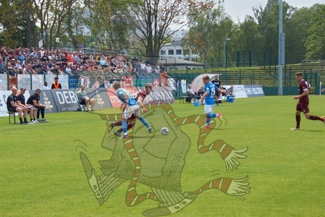 BFC Dynamo vs. FSV 63 Luckenwalde 046 | mythos-online-redaktion