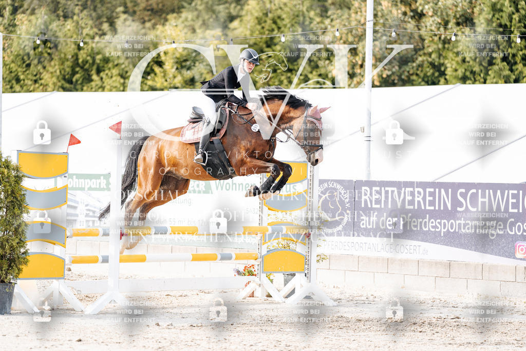 CK906787 | Turnierfotografie Pferdefotografie Trier Rheinland-Pfalz Pferdesport Reitsport Tierfotografie Sportfotografie Pferdevideo Pferdevideografie Equestrianvideography equestrianphotography  - Realisiert mit Pictrs.com