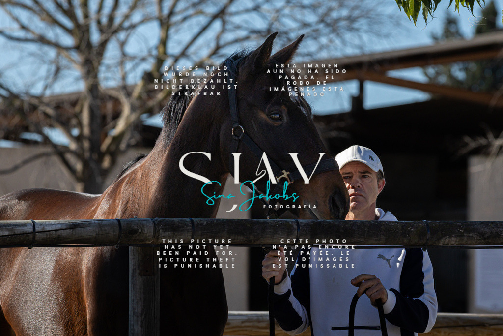 IMG_8087 | s-jay-photography - Realisiert mit Pictrs.com