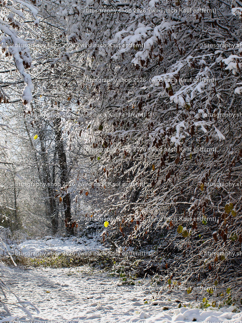 phototitusgraphy Winterimpressionen-Edition 001 | Fotokunstarbeit aus der INSTAGRAM-Gallerie auf titusgraphy.eu - Realisiert mit Pictrs.com