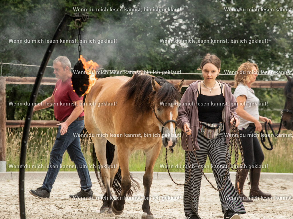 598A6408 | photographylinaismer - Realisiert mit Pictrs.com