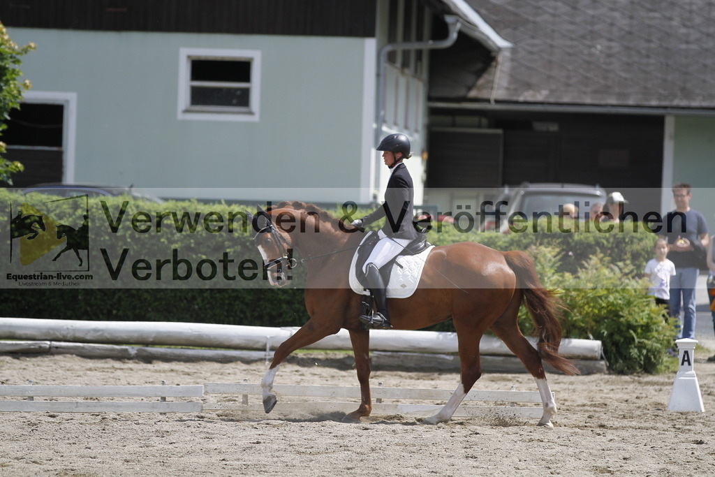 _MG_8420 | equestrian-live-com