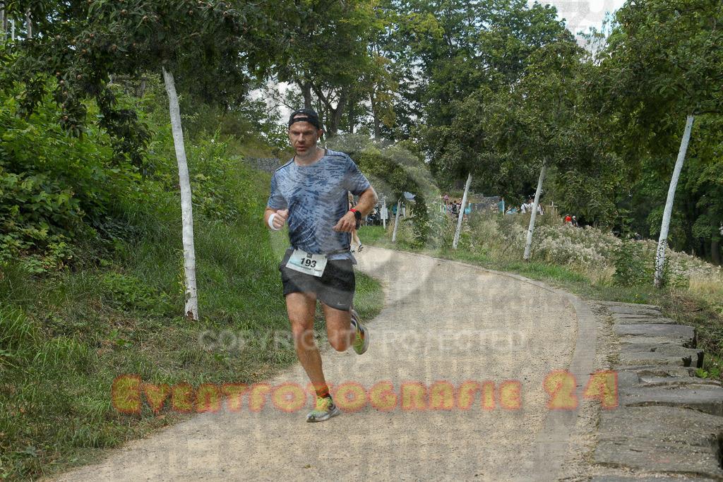 250824_1258_EX1_1057 | Sportfotografie im Rhein-Sieg Kreis, Köln, Bonn, NRW, Rheinland Pfalz, Hessen, etc. Unser Tätigkeitsfeld umfasst den Laufsport vom Volkslauf über den Marathon, Duathlon, Triathon bis zum Ultralauf wie Kölnpfad Ultra oder Schindertrail.