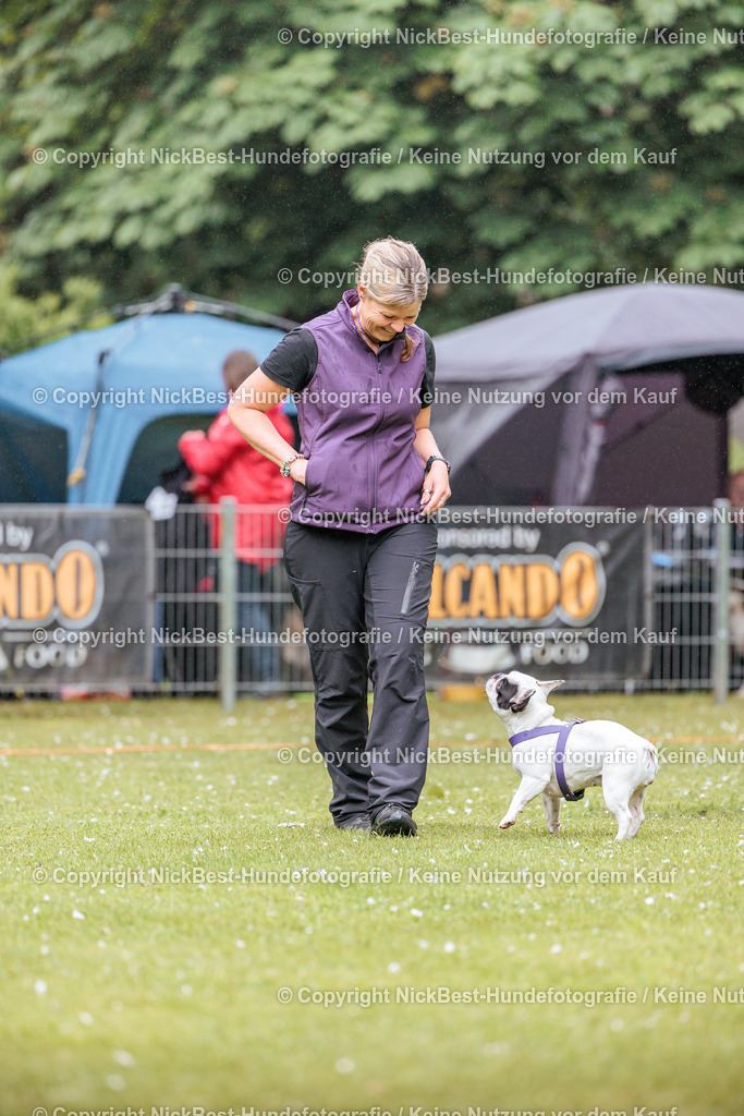RO-Blumenthal-2026-Nickbest-Hundefotografie-0083 | Dein Hund! Dein Moment! Deine Erinnerungen! Hundefotografie in Bremen Blumenthal. Ich fange die besonderen Momente deines Vierbeiners ein – ob Indoor mit Blitzanlage oder in der freien Natur. Sicher dir dein Moment und dein Termin für eure Erinnerungen.