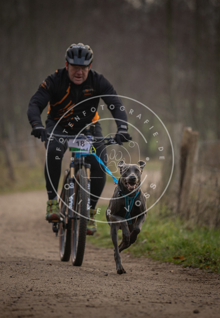Pfotenfotografie_DV3A1914 | Hundefotografie, Tierfotograf, Pfotenfotografie, Fotoshooting Hund, Hunde Portrait, Hundesport, Hundeportraits, Heideshooting, Hunde, Sportfotograf, Hundefotograf, Turnierhundsport, THS,  - Realisiert mit Pictrs.com