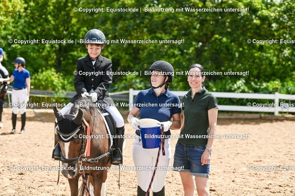 20230716_11_Führzügel-WB_0112 | equistock
