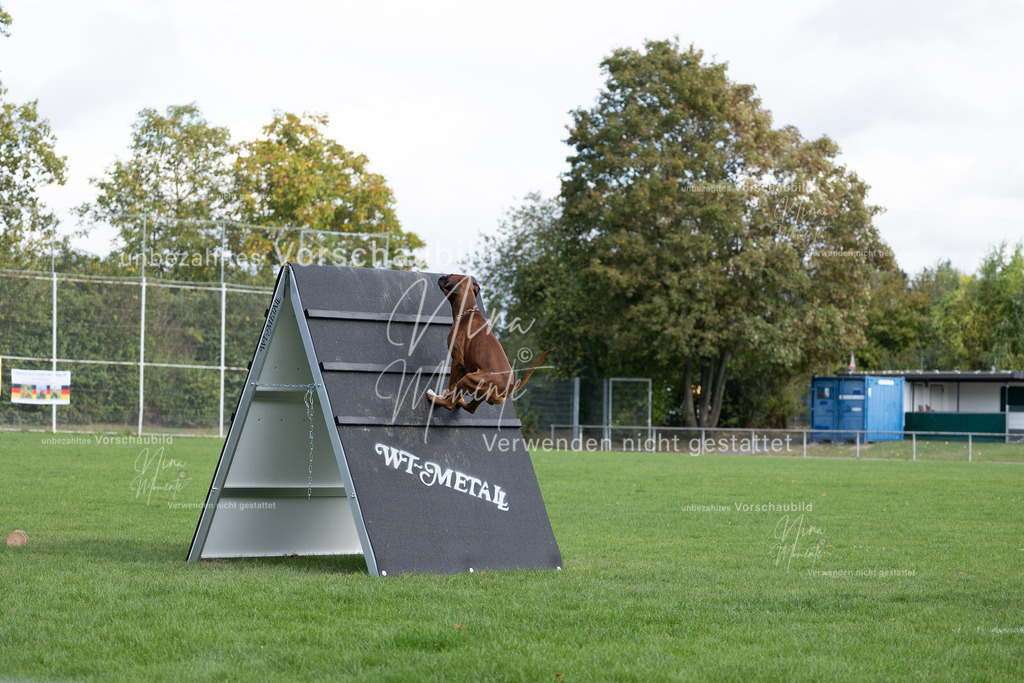 _16A6775 | Einzigartige Fotos von Hunden & Menschen –Actionfotos, Portraits, Vereinsaufnahmen & Paarshootings – authentisch, lebendig & mit Herz.