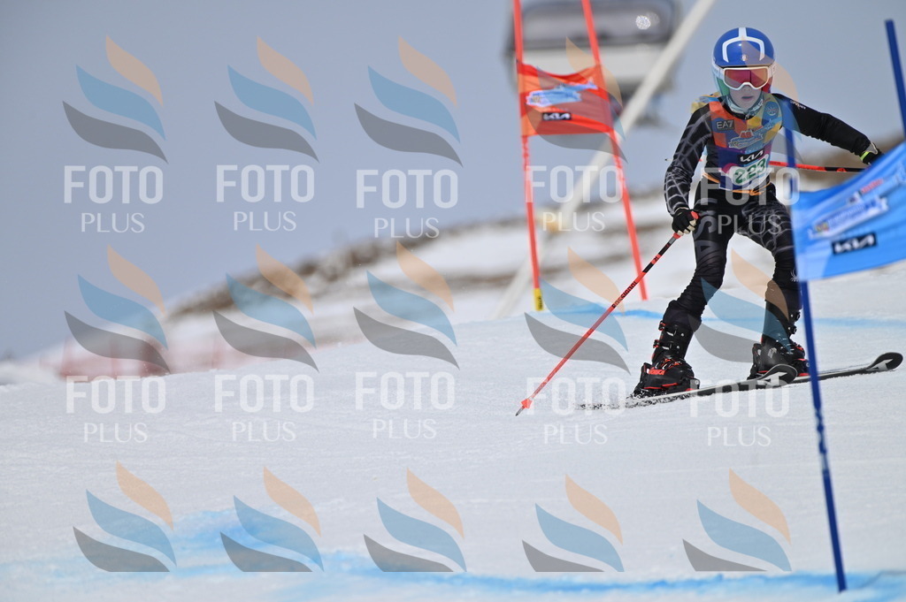 BGV_4378 | holidayphoto