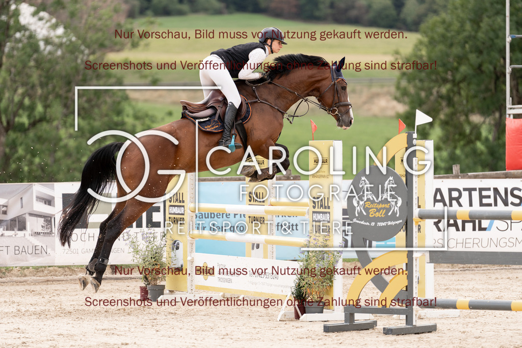 DSC06700 | Springturnier_Teamchallege_Talheim_2026, Celina_Heim, Uriah_5