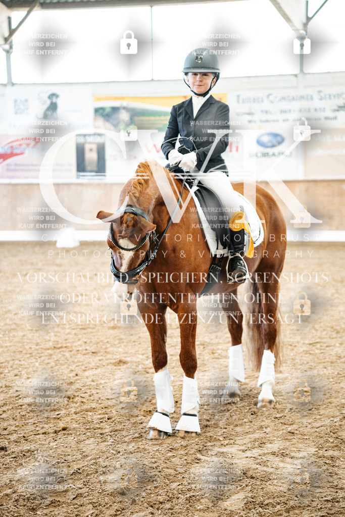 CK703027 | Turnierfotografie Pferdefotografie Trier Rheinland-Pfalz Pferdesport Reitsport Tierfotografie Sportfotografie Pferdevideo Pferdevideografie Equestrianvideography equestrianphotography  - Realized with Pictrs.com