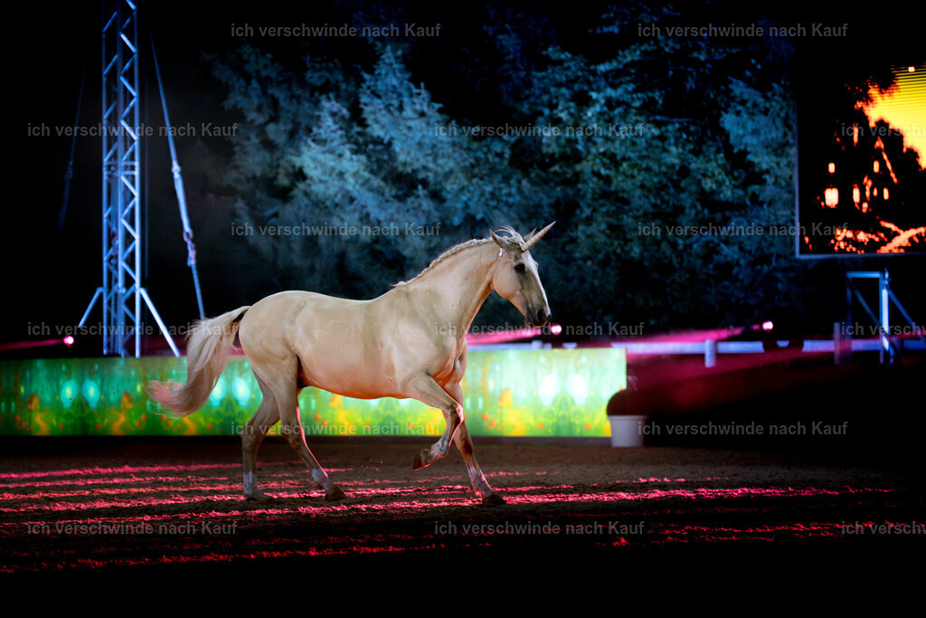 Gala-393 | working equitationturnier fotograf videograf stoibphotography marixx film working equitation deutschland reitsport turnierfotografie eventfotografie equestrian events