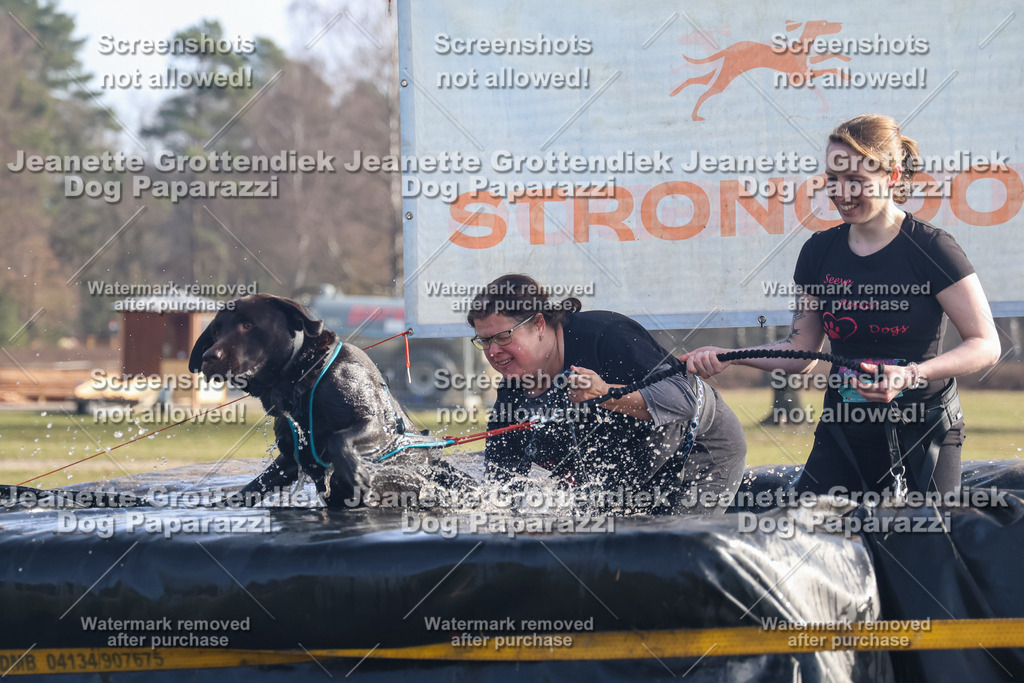 Dog Paparazzi - Strongdog North Mrz26-709 | Dog Paparazzi Jeanette Grottendiek Fotografie & Videografie - Realisiert mit Pictrs.com