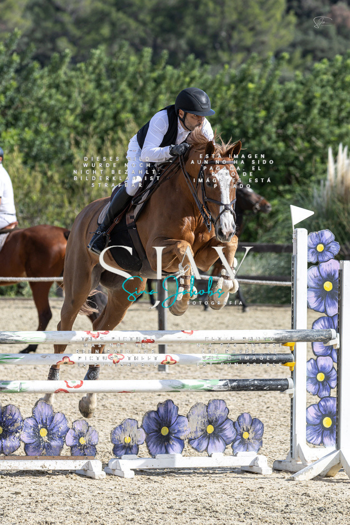 IMG_0429 | s-jay-photography - Realisiert mit Pictrs.com